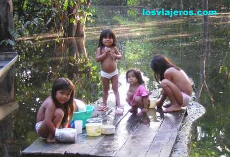 Chavales jugando en el la selva - Amazonas - Brasil - Brazil.